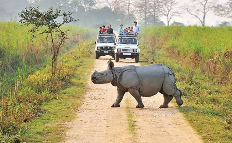 Kaziranga Guide